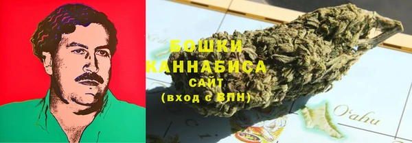твердый Богданович