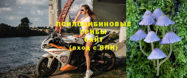 твердый Богданович