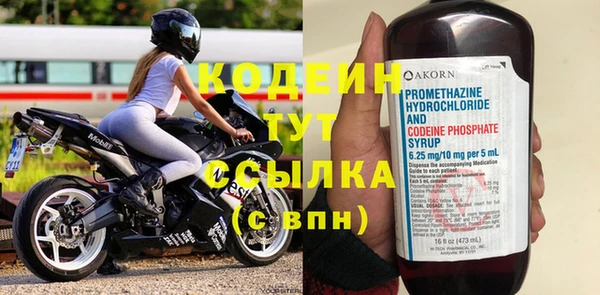 твердый Богданович