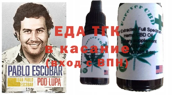 твердый Богданович